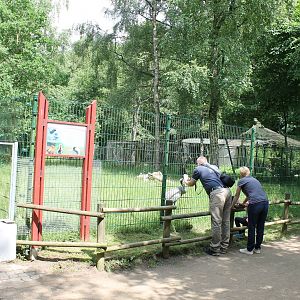 Crane and stork enclosure
