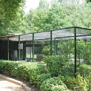 Tortoise outdoor enclosure