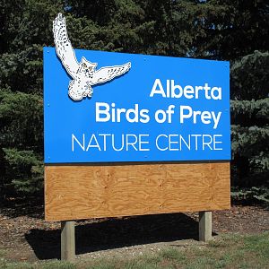 Alberta Birds of Prey Centre - Entrance Sign