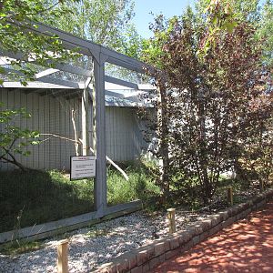 Alberta Birds of Prey Centre - Great Grey Owl Exhibit