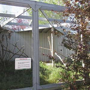 Alberta Birds of Prey Centre - Great Grey Owl Exhibit