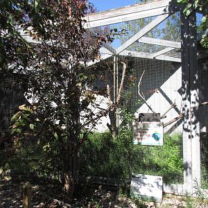 Alberta Birds of Prey Centre - Red-Tailed Hawk Exhibit