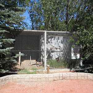 Alberta Birds of Prey Centre - Northern Harrier Hawk Exhibit