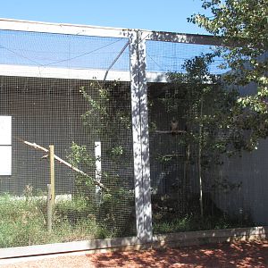 Alberta Birds of Prey Centre - Swainson's Hawk Exhibit