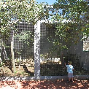 Alberta Birds of Prey Centre - Ferruginous Hawk Exhibit