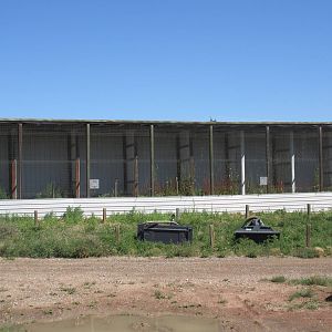 Alberta Birds of Prey Centre - Burrowing Owl Complex