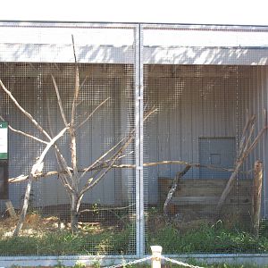 Alberta Birds of Prey Centre - Peregrine Falcon Exhibit