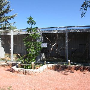 Alberta Birds of Prey Centre - Barred Owl + Peregrine Falcon Exhibits