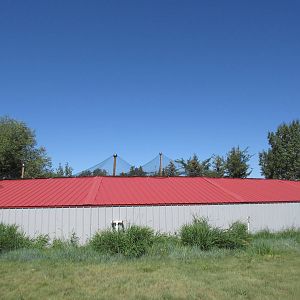 Alberta Birds of Prey Centre - Tethered Bird Aviary