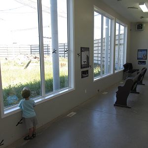 Alberta Birds of Prey Centre - 28,000 Square Foot (0.64 of an acre) Bald Ea