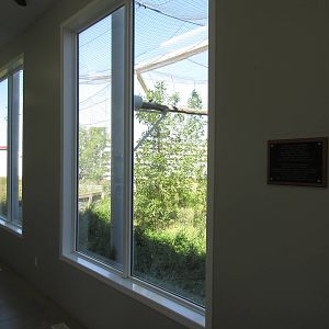 Alberta Birds of Prey Centre - 28,000 Square Foot (0.64 of an acre) Bald Ea