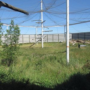Alberta Birds of Prey Centre - 28,000 Square Foot (0.64 of an acre) Bald Ea