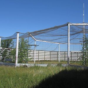 Alberta Birds of Prey Centre - 28,000 Square Foot (0.64 of an acre) Bald Ea
