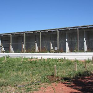 Alberta Birds of Prey Centre - Burrowing Owl Complex