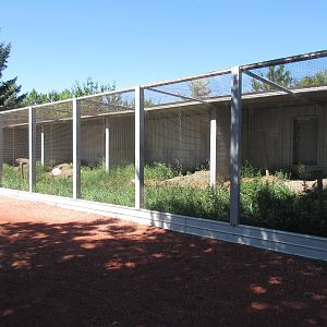 Alberta Birds of Prey Centre - Burrowing Owl Exhibit (superb!)