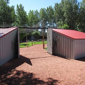 Alberta Birds of Prey Centre - Tethered Owl Aviary