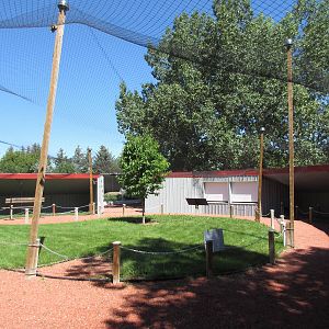 Alberta Birds of Prey Centre - Tethered Owl Aviary