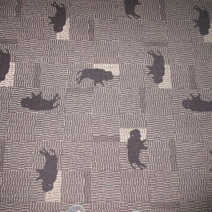 Head-Smashed-In Buffalo Jump - Bison Carpet (throughout the entire 5 levels