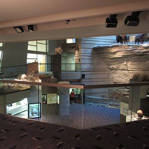 Head-Smashed-In Buffalo Jump - View from Mezzanine Level