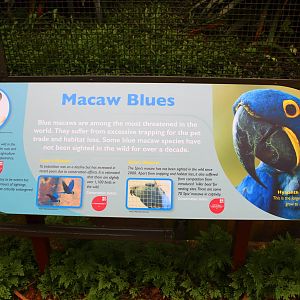 New Signage at Parrot Paradise