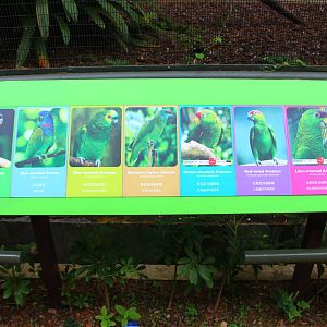 New Signage at Parrot Paradise
