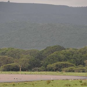 Lake Langano