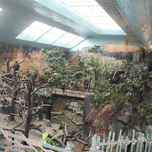 Jul. 2016 - Tropic World - Africa (8 Species)