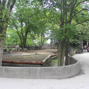Jul. 2016 - Pachyderms - Second Pygmy Hippo Exhibit