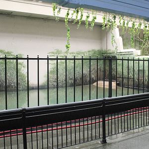 Jul. 2016 - Pachyderms - Indoor Pygmy Hippo Exhibit