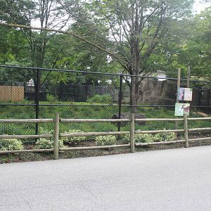 Jul. 2016 - Habitat Africa! The Savannah - Gerenuk + Kirk's Dik-Dik Exhibit
