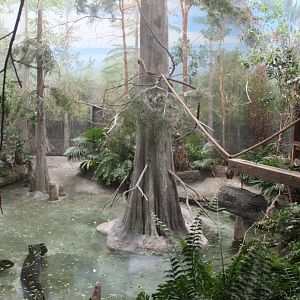 Jul. 2016 - The Swamp - Third Aviary (6 Species)