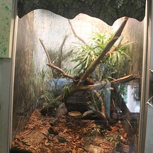 Jul. 2016 - Reptiles and Birds - Puerto Rican Boa Exhibit