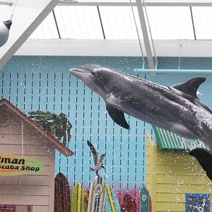 Jul. 2016 - Seven Seas