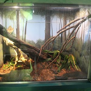 Jul. 2016 - Feathers and Scales - African Rock Python Exhibit