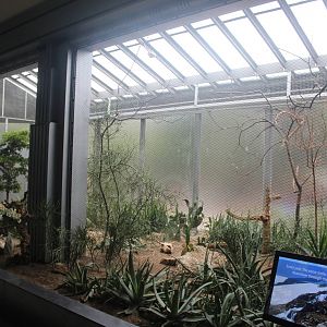 Jul. 2016 - Feathers and Scales - New Desert Exhibit (3 Species)