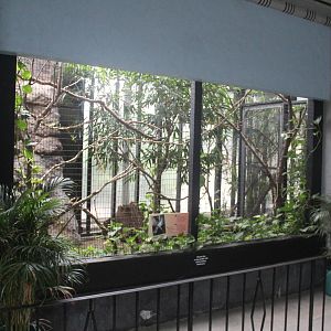 Jul. 2016 - Feathers and Scales - Blue-faced Honeyeater Exhibit