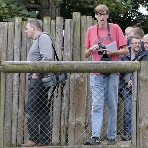 ZooChatters on the Bats Bridge