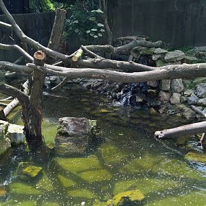 Eurasian otter enclosure