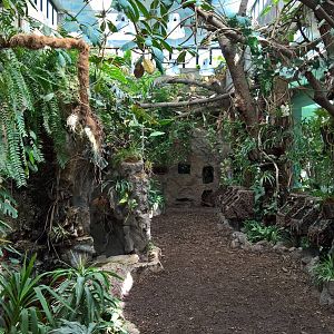Overview of the insect house