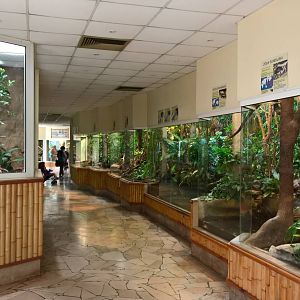 Overview of the reptile house