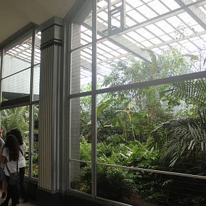 Jul. 2016 - Feathers and Scales - Newly Renovated Tropical Rainforest Exhib