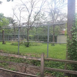 Jul. 2016 - Hoofstock Yards - Okapi Exhibits