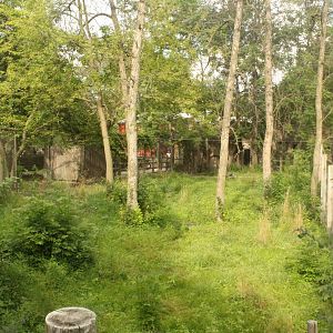 Jul. 2016 - Australia - Cape Barren Goose Exhibit