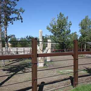 Greater One-Horned Rhino Exhibit (old elephant complex)