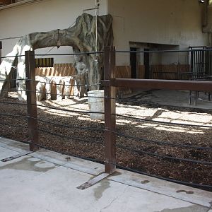Greater One-Horned Rhino Indoor Exhibit (old elephant complex)