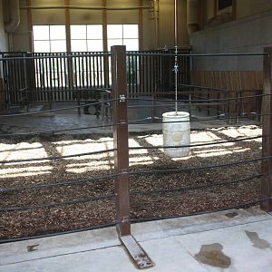 Greater One-Horned Rhino Indoor Exhibit (old elephant complex)
