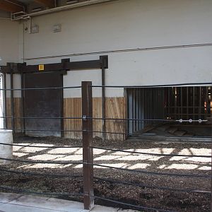 Greater One-Horned Rhino Indoor Exhibit (old elephant complex)