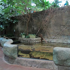 Journey To South America - River Stingray and Others Exhibit