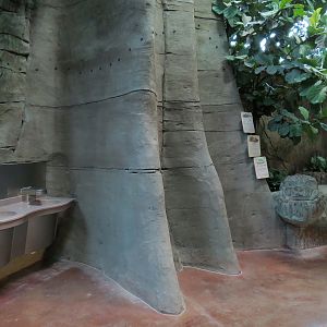 Journey To South America - Exhibit Path