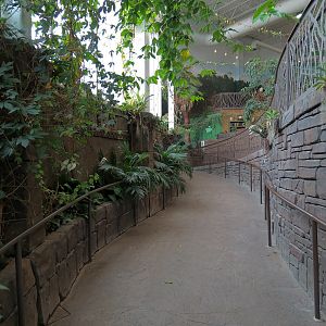 Journey To South America - Pathway Ramp